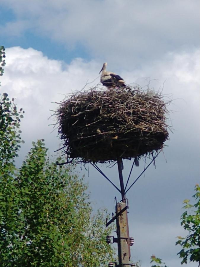 Mieszkanie wakacyjne Ponizie Zewnętrze zdjęcie